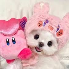 Lusi Fitriani avatar