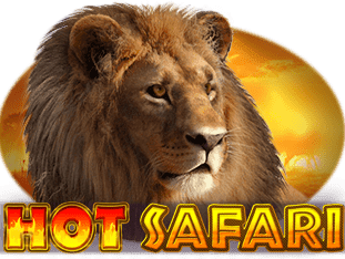 Hot Safari game thumbnail